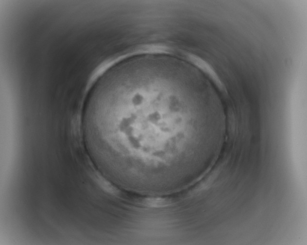 X0000113781176200909301143
