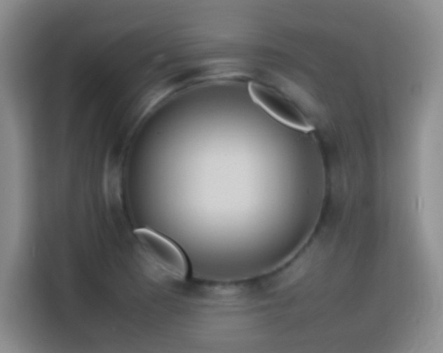 X0000113781177200909301143