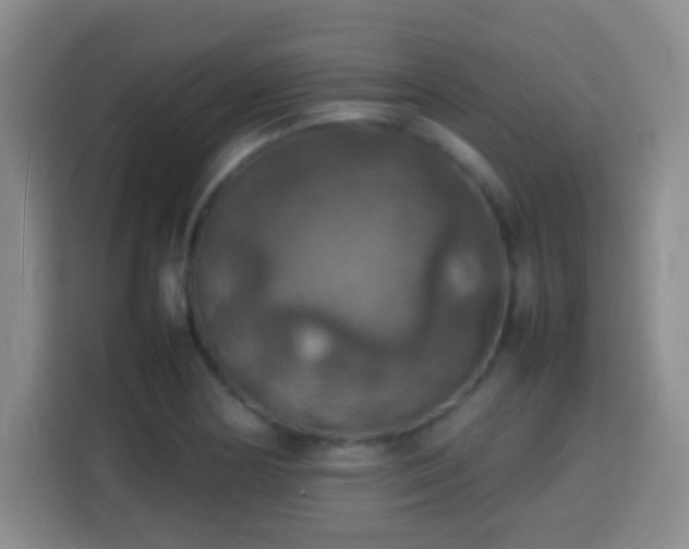 X0000113781178200909301143