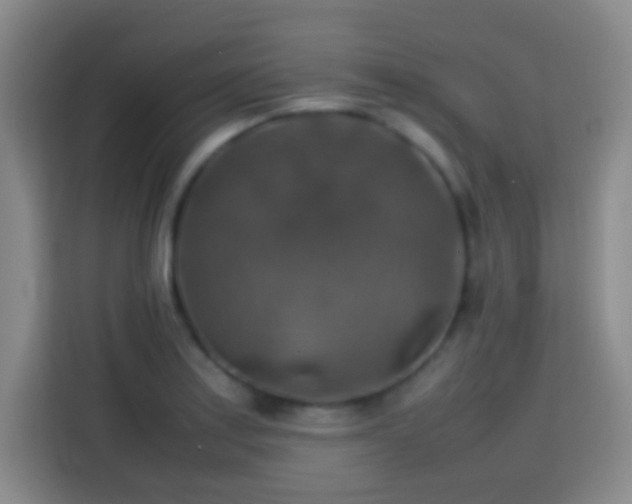 X0000113781179200909301143
