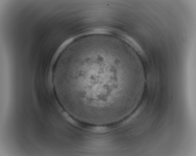 X0000113781180200909301143