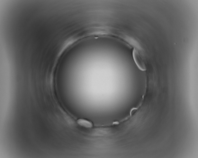 X0000113781181200909301143