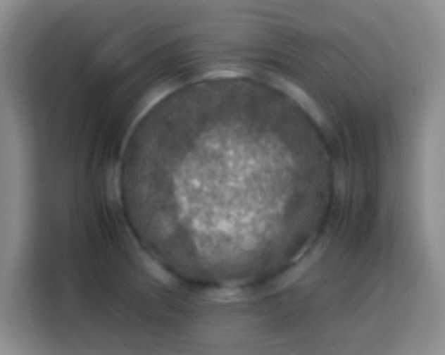 X0000113781186200909301143