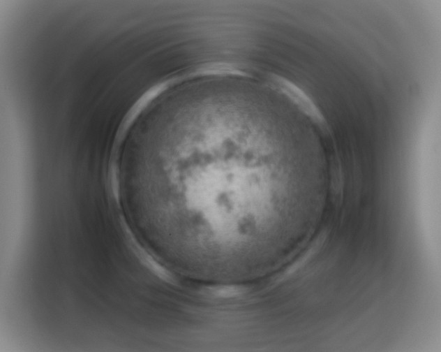 X0000113781188200909301143