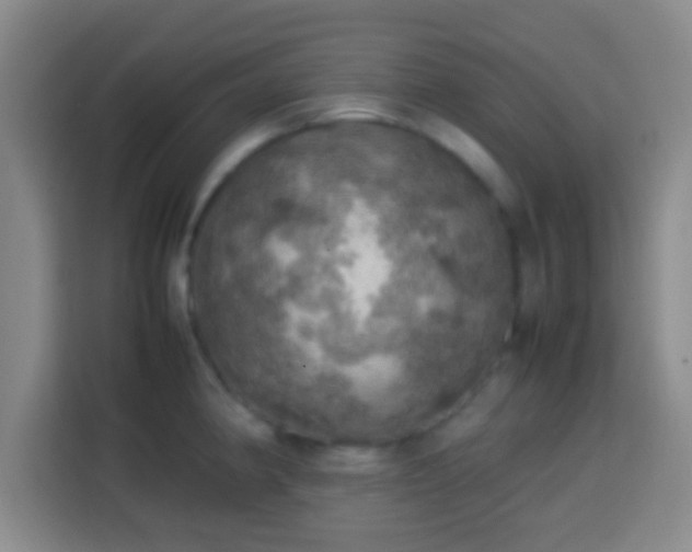 X0000113781190200909301143