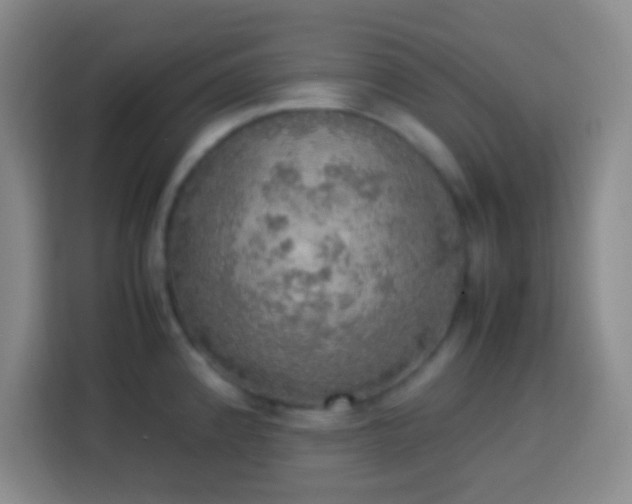 X0000113781192200909301143