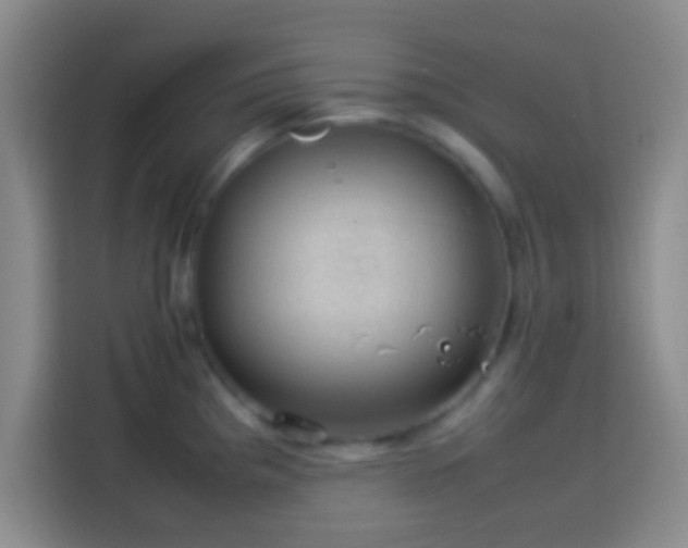X0000113781193200909301143