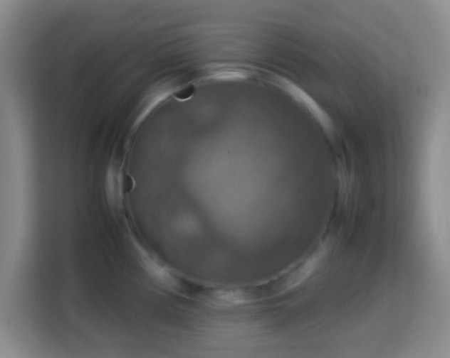 X0000113781194200909301143