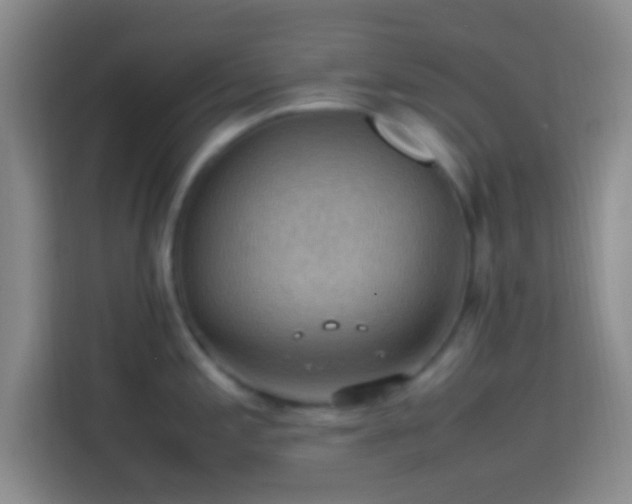X0000113781197200909301143