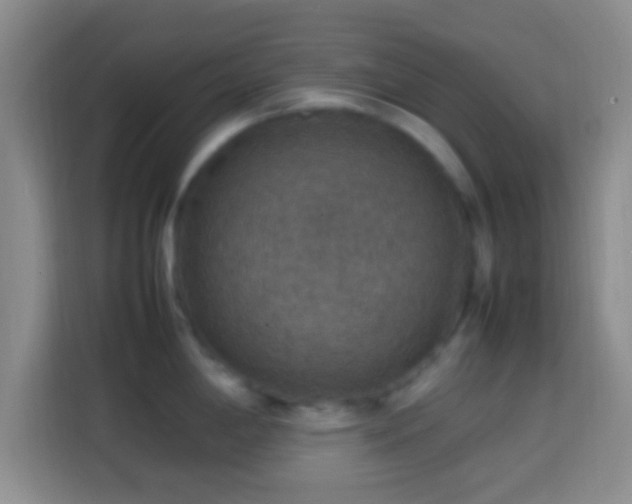 X0000113781198200909301143