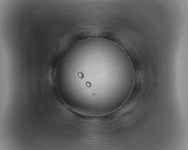 X0000113781202200909301142