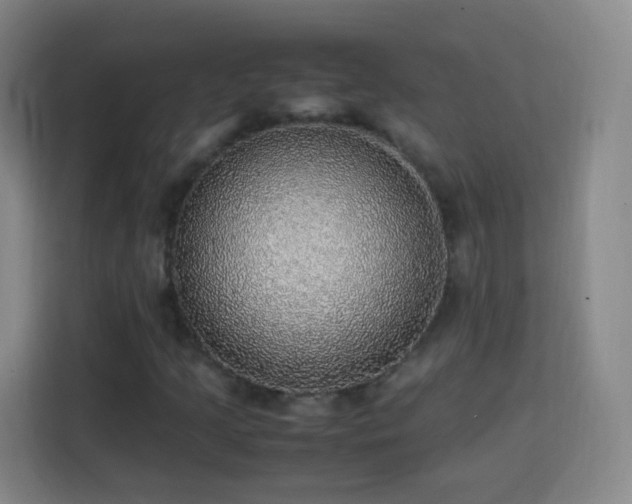 X0000113781205200909301142
