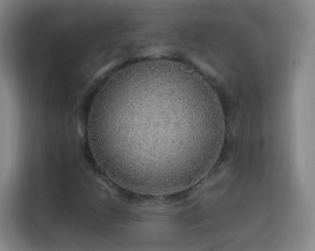 X0000113781206200909301142