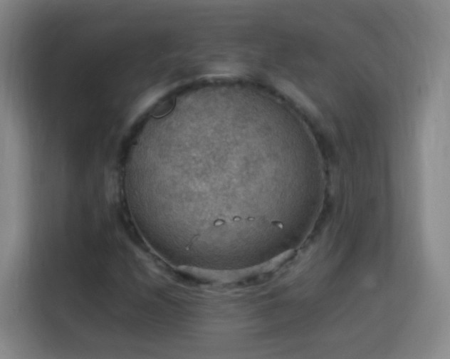 X0000113781208200909301142