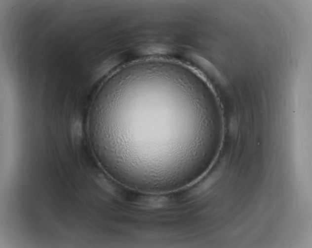 X0000113781209200909301142