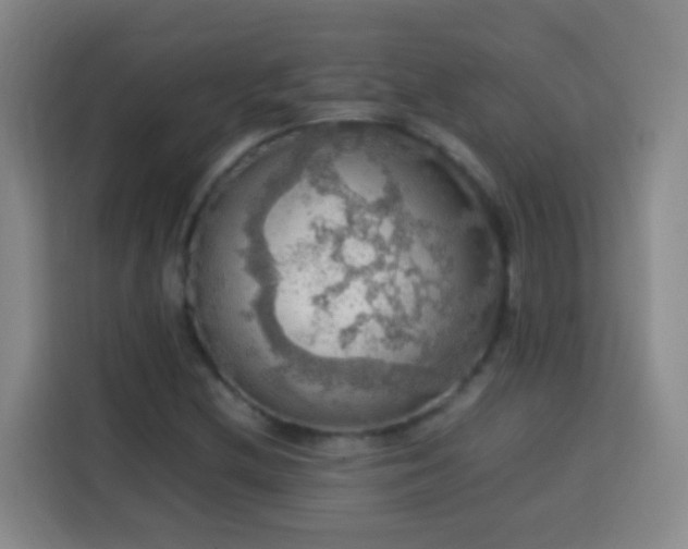 X0000113781212200909301142