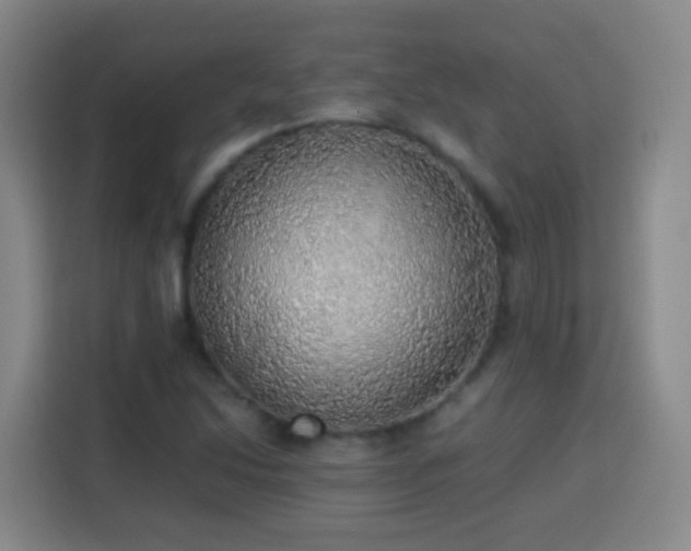 X0000113781214200909301143