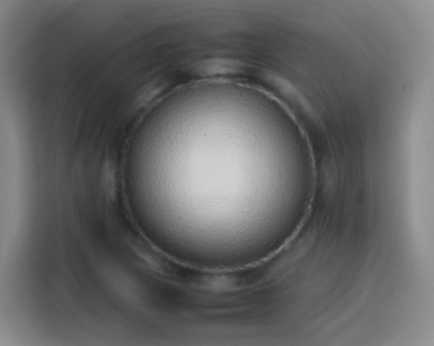 X0000113781217200909301143