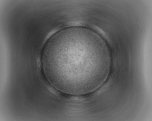X0000113781218200909301143
