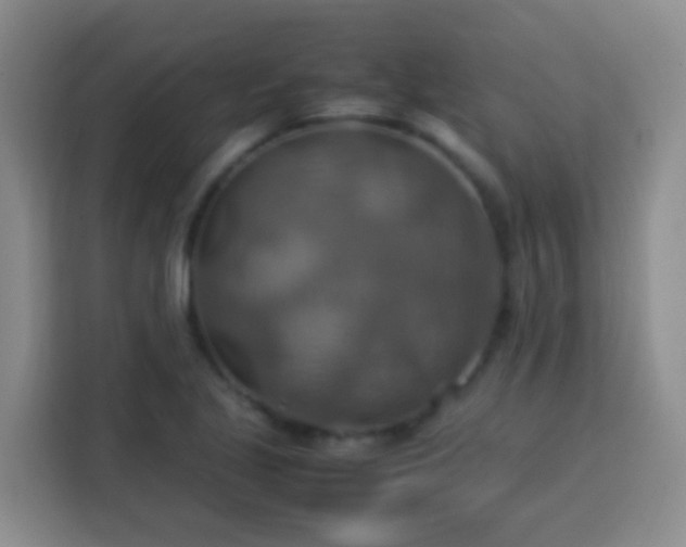 X0000113781221200909301143