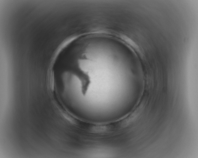 X0000113781223200909301143