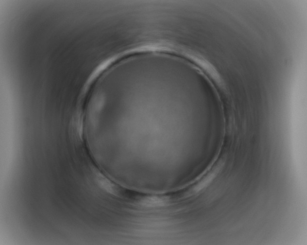 X0000113781224200909301143