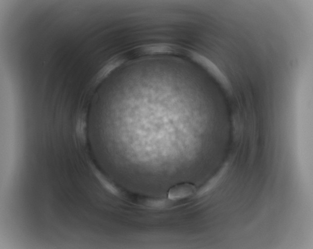 X0000113781225200909301143