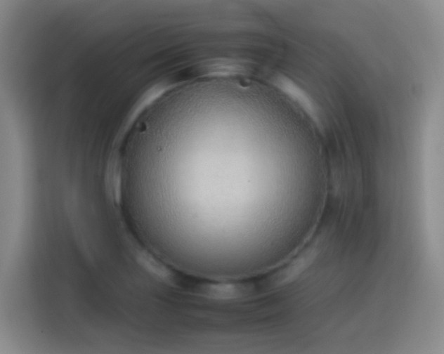 X0000113781227200909301143