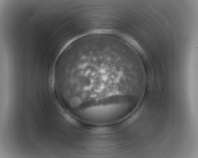 X0000113781228200909301143