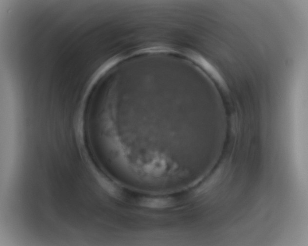 X0000113781229200909301143