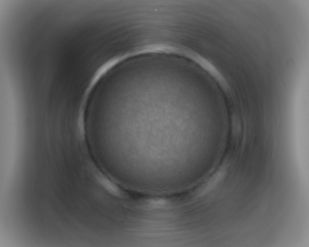X0000113781230200909301143