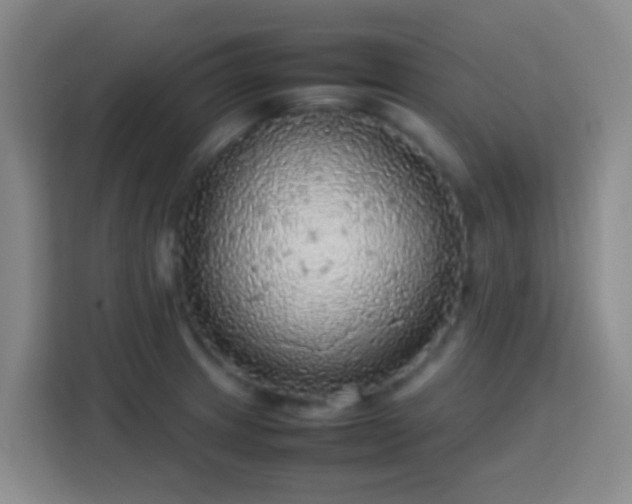 X0000113781233200909301143