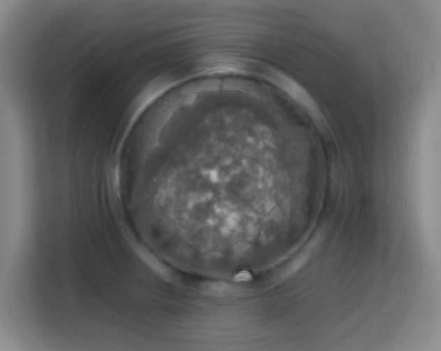 X0000113781234200909301143