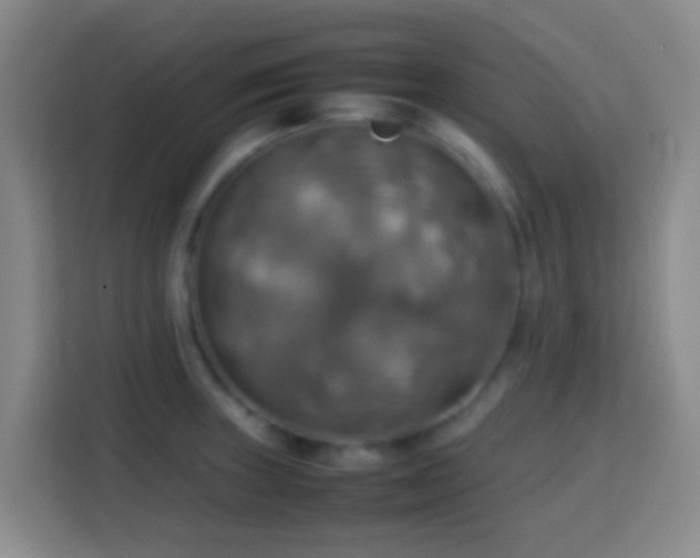 X0000113781235200909301143