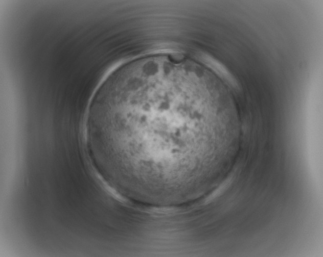 X0000113781236200909301143