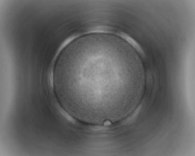 X0000113781238200909301143
