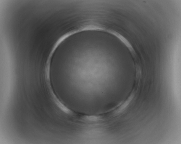 X0000113781246200909301143
