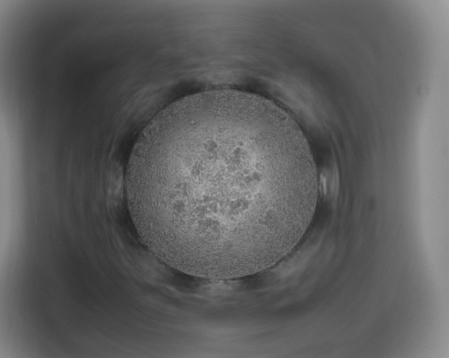 X0000113781251200909301142