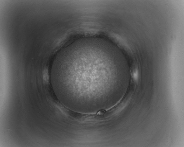 X0000113781252200909301142
