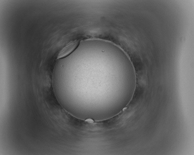 X0000113781253200909301142