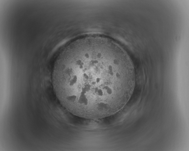 X0000113781255200909301142
