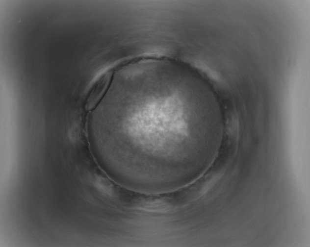 X0000113781256200909301142