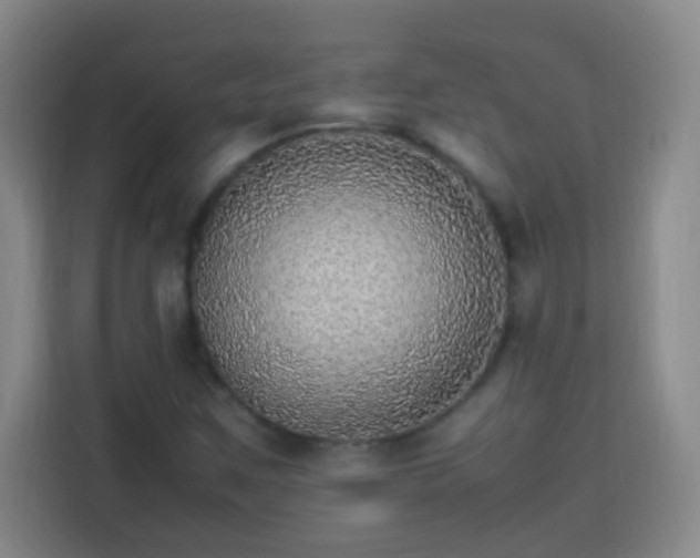 X0000113781259200909301142