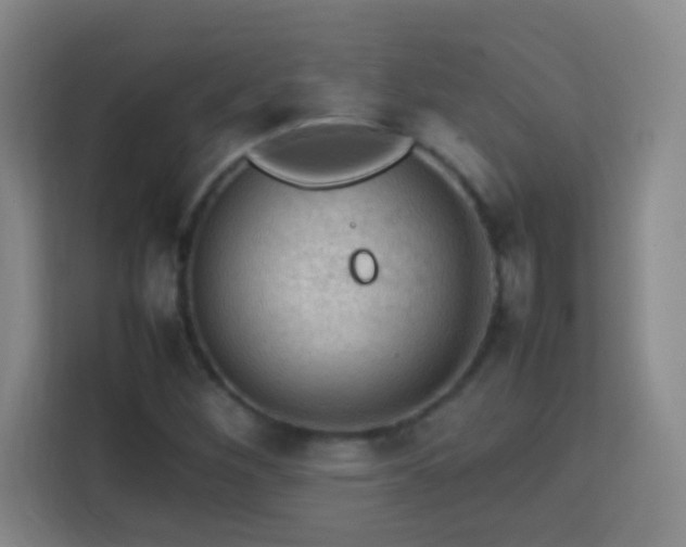 X0000113781260200909301142
