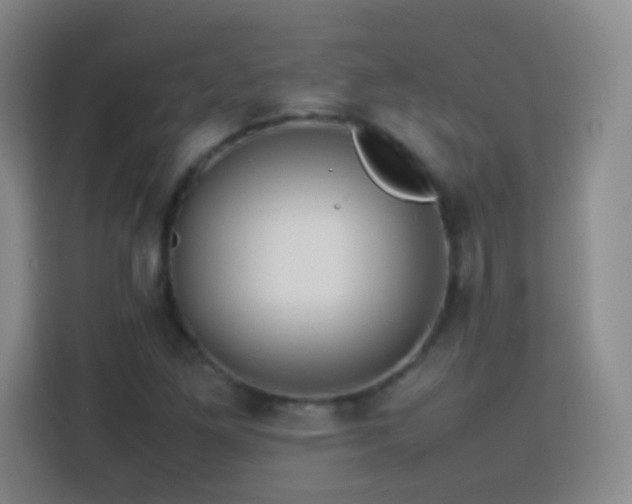 X0000113781261200909301142
