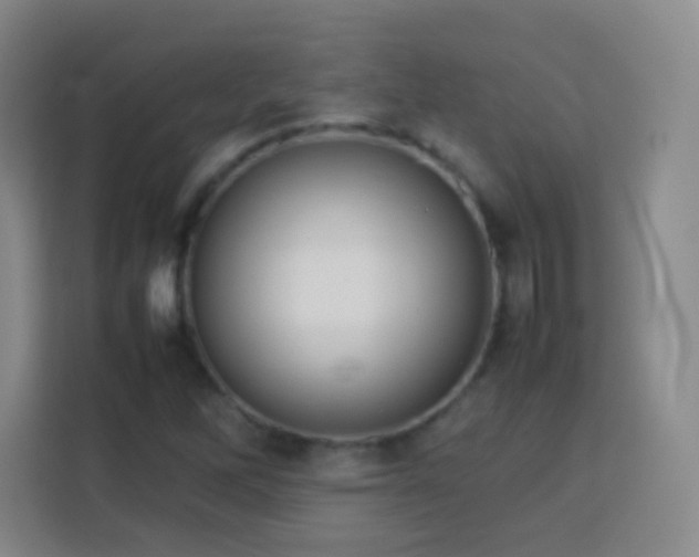 X0000113781262200909301142