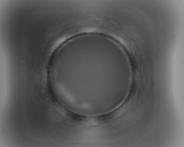 X0000113781263200909301142