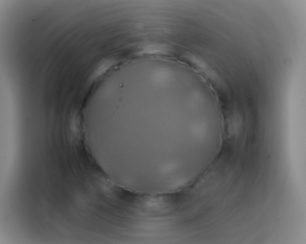 X0000113781266200909301142