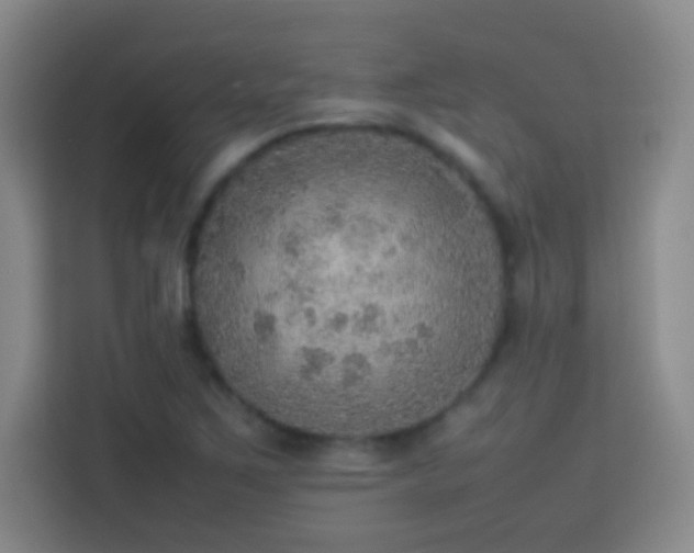 X0000113781267200909301142
