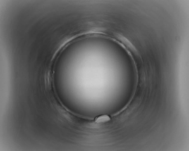 X0000113781268200909301142